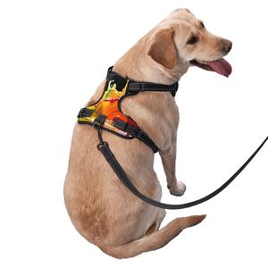 Custom Lightweight <b>Adjustable</b> Cotton <b>Dog</b> <b>Harness</b> Set Sport and Fashion-Style with Button Closure Ne Design Sublimated Print - Product Image 2