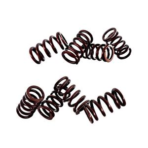 Kao Cygnus วาล์วสเตนเลสทนความร้อนสำหรับเครื่องยนต์สปริงอุปกรณ์เสริมรถจักรยานยนต์ - Product Image 1