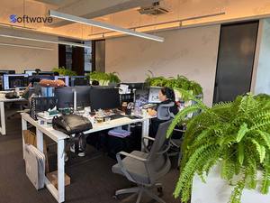 Softwave se centra en servicios de software de alta gama y proporciona guía de instalación profesional. - Product Image 4