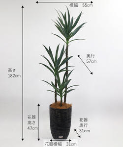 Vente en gros de plantes décoratives artificielles réalistes pour le salon et le jardin d'extérieur Genre de produit Plantes artificielles et verdure - Product Image 2