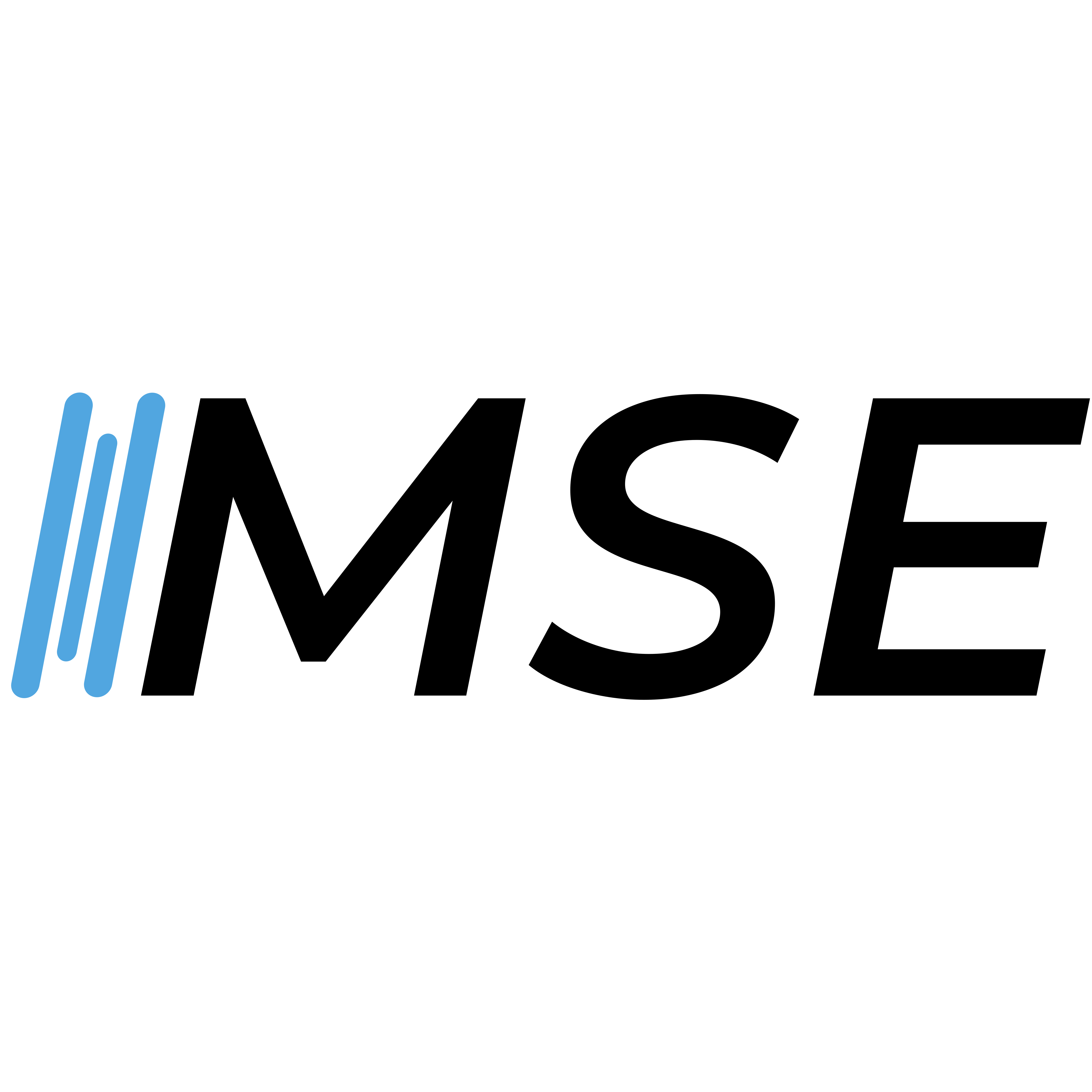 MSE Filterpressen GmbH logo