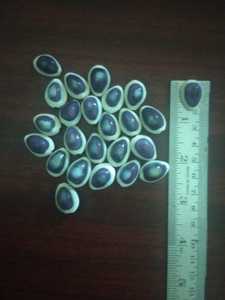 Custom Made Eagle Themed Sequined and <b>Beaded</b> Drop Earrings for Fashion for Jewelry Designers and Accessory Stores - Product Image 4