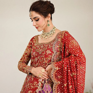 Bridals pakistanais modernes avec décoration en cristal et motif - Product Image 1