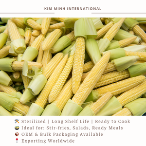 KMI ข้าวโพดกระป๋องบรรจุในน้ำเกลือจากเวียดนามเกรดพรีเมี่ยม - Product Image 4