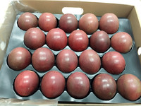 Hoge Kwaliteit 100% Natuurlijke VERS PASSENFRUIT Vietnam HOT SELLING 2022 Competitieve Prijs HP 84 917 476 477