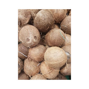 Noix de coco fraîche de qualité supérieure, idéale pour les achats en gros réguliers - Product Image 5
