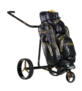 Carrito de Golf Eléctrico Recién Llegado con Batería de Litio, Función de Empuje, Ofertas Especiales de Viaje, Carritos de Golf - Product Image 1