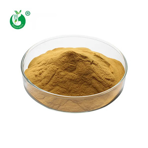 Hữu Cơ Chứng nhận tự nhiên nấm bột 10% 50% polysaccharides <span class=keywords><strong>Agaricus</strong></span> Blazei murrill chiết xuất - Product Image 2