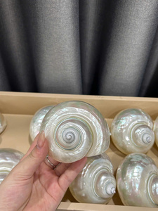 Savourer l'harmonie en verre de coquillage où les motifs tourbillonnent comme des courants étoilés créant des héritages de rivages lointains et d'air salé - Product Image 4