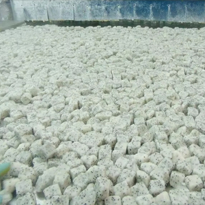 Rodajas de Pitaya congelada Vietnam Red Dragon Fruit Ideal para fabricantes de helados y batidos - Product Image 1