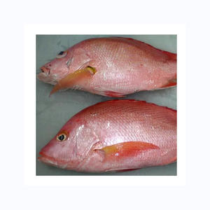 ปลาทะเลสีดำปลาทะเลชนิดหนึ่งแช่แข็ง - Product Image 1