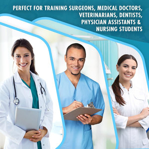 Kit de práctica de sutura Almohadilla de sutura de silicona Estudiantes Profesionales Almohadilla de sutura reutilizable Heridas precortadas Sutura Instrumentos médicos - Product Image 3