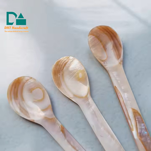 Juego de Cucharas de Nácar Hechas a Mano, Cucharas de Lujo Ecológicas para Exhibición de Joyas y Decoración del Hogar - Product Image 1