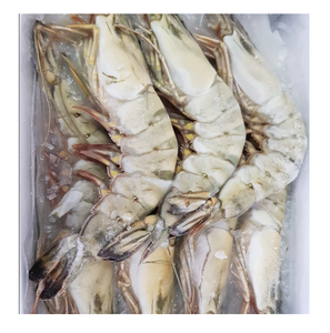 กุ้งลายเสือแช่แข็งพรีเมียม - ผู้จัดจำหน่ายกุ้งลายเสือราคาส่ง - Product Image 5