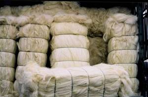 Fibra de Sisal al por Mayor para Yeso de Kenia, Fibra de Sisal Anti-UV de Tanzania, Fibra de Sisal Natural de Uganda y Tanzania / Sisa a Bajo Precio - Product Image 4