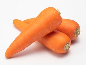 Carotte fraîche douce organique de haute qualité du Vietnam avec haute vitamine pour le marché de gros mondial - Product Image 3