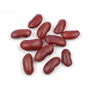 红芸豆、淡淡的斑点芸豆、冷冻豆