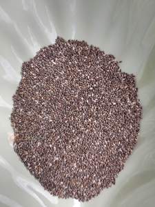 Suministro a granel de semillas de chía, pérdida de peso - Product Image 3