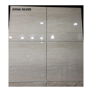 Carreaux de porcelaine vitrifiée émaillée Dyna Silver pour sol et mur 600 x 600 mm 100% porcelaine naturelle faible absorption d'eau - Product Image 1