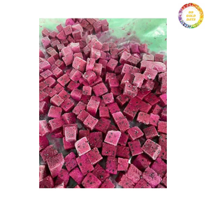 Dragon Fruit Biologique Congelé LQF de Qualité Supérieure, Origine Vietnam, Emballage Sous Vide en Gros pour Grossistes et Entreprises Alimentaires - Product Image 6