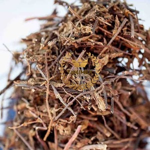 Cincau แห้งสำหรับทำพุดดิ้งนมชาและเจลลี่/หญ้าวุ้นเวียดนามสำหรับอาหารสมุนไพรเพื่อสุขภาพ - Product Image 3