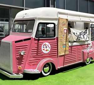 Camion de restauration rapide pour pizzas, remorque de traiteur, cuisine commerciale, repas prêts à consommer - Product Image 2