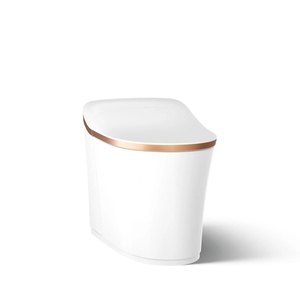 K-77795-0SG Eir Comfort WC monobloc allongé à double chasse intelligent + LIVRAISON GRATUITE - Product Image 1