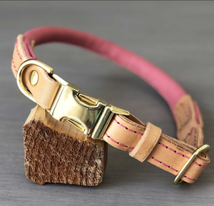 Collar de perro sabueso de cuero verde de alta calidad para galgo y Whippet - Product Image 2