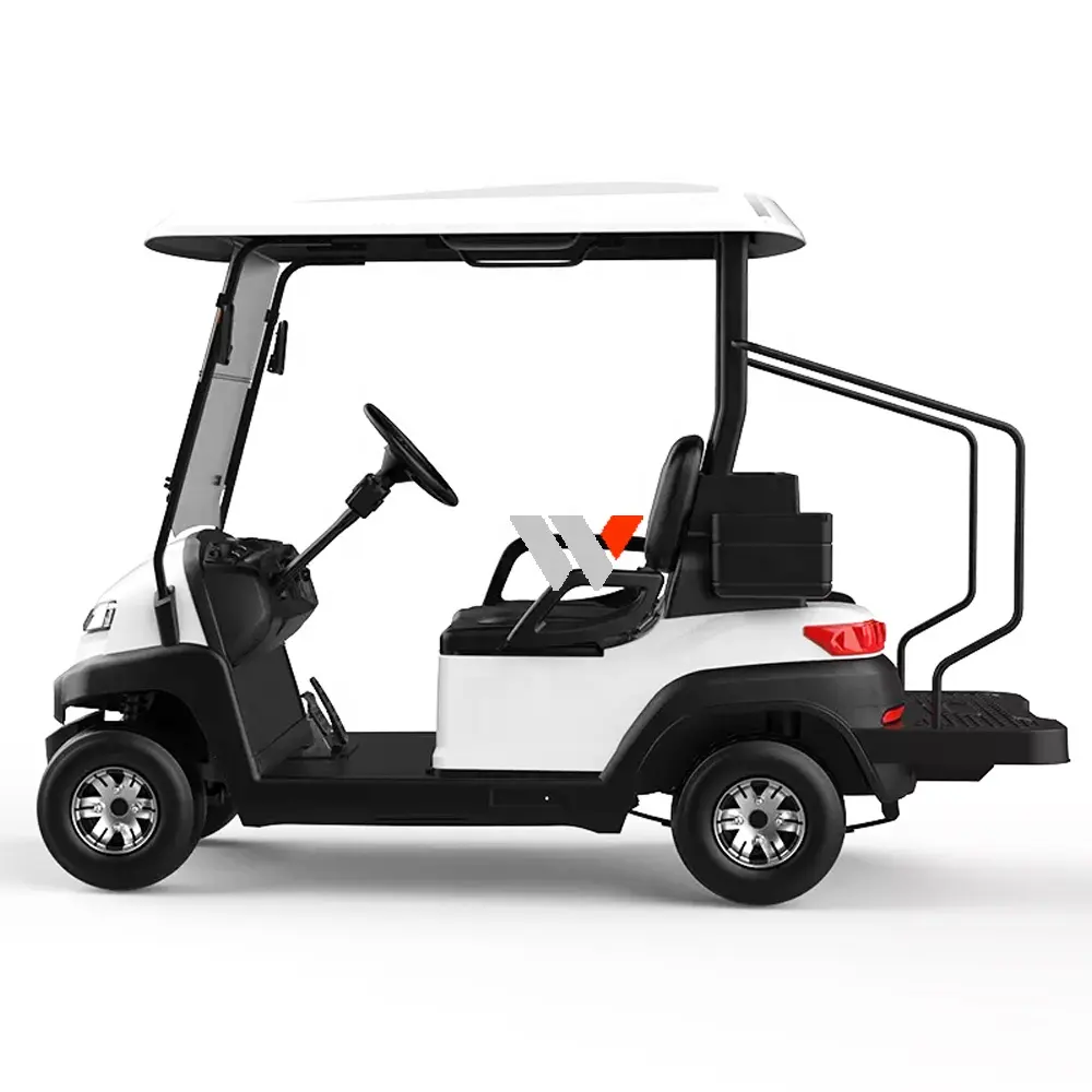 WFSEN S2 48v 4kw produttore mini 2 4 6 8 posti golf cart electric golf car con parte