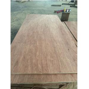 ไม้อัดหน้าขาหลักยูคาลิปตัสของ Asean กันน้ำสำหรับใช้ในการก่อสร้างแผงประตูตู้เฟอร์นิเจอร์ - Product Image 3