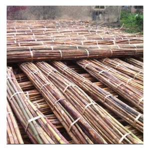 Fournisseur de canne en rotin brut du Vietnam, matériau d'artisanat naturel pour la décoration intérieure et les articles faits à la main - Product Image 2