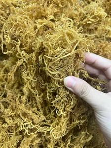 WHOLESALE PRICE 100% DRIED IRISH SEA MOSS-WILD CRAFTED GOLDEN SEA MOSS SALTED & UNSALTED 24 MONTHS <b>SHELF</b> LIFE VIETNAM-CARYLN - Product Image 2