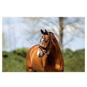 Brida para Caballo de Cuero Resistente 2026 con Diseño de Silla Inglesa, Perfecta para Montar al Aire Libre, Exhibiciones y Personalizable - Product Image 3