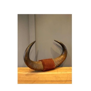 ที่แขวนติดผนังรูปเขาควายประดับผนังทำจากเขาควายธรรมชาติที่สวยงามทำจากอินเดียเขาวัวขัดเงาติดผนังสไตล์สัตว์ - Product Image 5