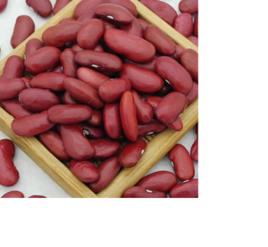 Frijoles Rojos de Calidad, Naturales, con Alto Contenido de Fibra, 50% de Proteína, 10% de Humedad, Vida Útil de 2 Años, Empaque a Granel, Alemania, 25 kg - Product Image 3