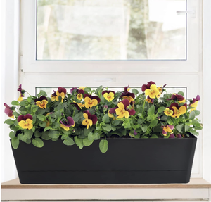 Hình chữ nhật màu đen trồng hộp với lỗ thoát nước và khay, thảo mộc succulents hoa nồi Nhựa - Product Image 4