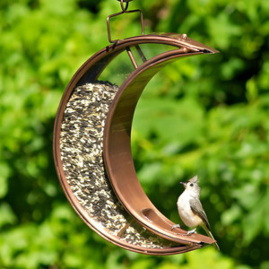 Décoration d'intérieur moderne, durable et unique, magnifique support de pilier en métal et en verre en forme de lune, mangeoire à oiseaux avec design suspendu - Product Image 1