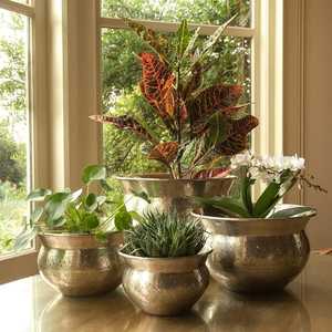 <b>Garden</b> Golden metal decorative planter for placing along pathways to create visually appealing borders with flowering plants - Product Image 2