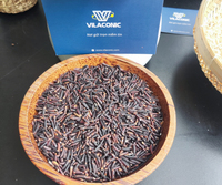 Riz noir à grain long sain du Viet Nam, 100% naturel I marque privée, emballage sous vide-Mme Mai Vilaconic