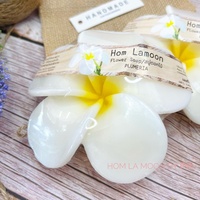 2024 Nouvel An Cadeau Valentine Coffret Cadeau Huile De Noix De Coco Fleur Savon 100g Plumeria Fleur Parfum Produit de Thaïlande