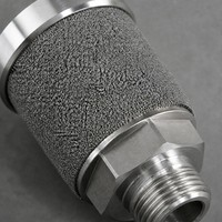 Élément filtrant pour sonde d'échantillonnage CEMS 39x21x100mm Céramique/Titane fritté |   Filtre à poussière pour gaz de combustion neuf (100 % testé en usine)