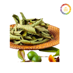 ใบฝรั่งตากแห้งคุณภาพสูงราคาถูกส่งตรงจากผู้ผลิตเหมาะสำหรับการส่งออกทั่วโลก - Product Image 4