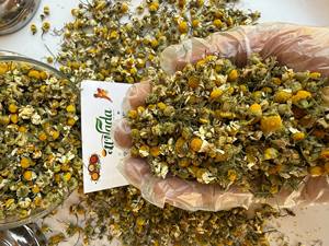 ดอกคาโมไมล์แห้งพรีเมียม (ธรรมชาติ 100%) สำหรับชาสมุนไพรและใช้ในอาหาร - Product Image 4
