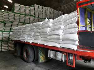 Azúcar Refinada Icumsa 45 Brasileña, Azúcar Blanca y Morena en Polvo, Empaque a Granel de 50 kg - Venta al por Mayor Premium - Product Image 6