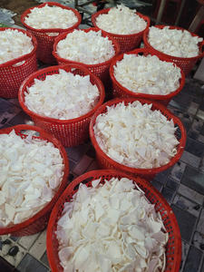 Carne de coco seca de alta calidad, suministro a granel de Vietnam, ideal para empresas de snacks, fábricas de postres, venta al por mayor, OEM - Product Image 3