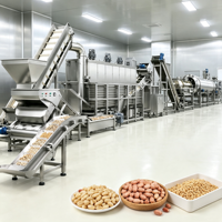 Ligne de production complète et automatique de snacks aux cacahuètes enrobés, avec enrobage, torréfaction, assaisonnement, refroidissement et emballage