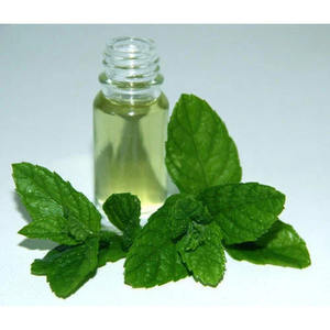 Huile essentielle de menthe poivrée en gros, extrait de Mentha arvensis, arôme de menthe rafraîchissant et apaisant pour la peau, les cheveux, le massage et l'aromathérapie - Product Image 1