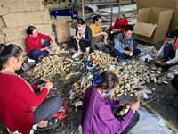Vente en gros de cages naturelles pliables pour hamster et lapin fabriquées au Vietnam en vrac