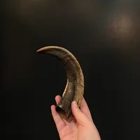 Corne de bélier naturelle et forme naturelle, taille personnalisée, prix bas, corne de bélier naturelle pour la vente de cornes de mouton