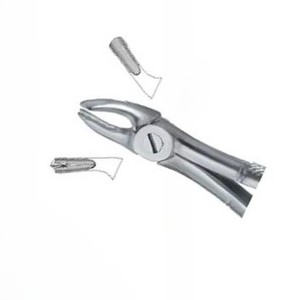 Forceps d'extraction dentaire Fig.39 R, manuel, acier inoxydable de haute qualité, certifié CE, logo personnalisé, instruments dentaires - Product Image 3